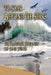 To Soar Beyond the Stars: The Mystical Journey of One Wing by Robert A. Sanford