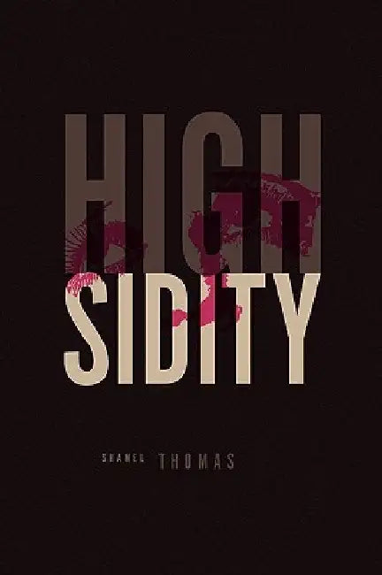 Highsidity by Shamel Thomas