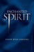 Enchanted Spirit by Leigh Ryan Lansing