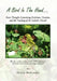 A Bird in the Hand...: Some Thoughts Concerning Evolution, Creation, and the Teaching of the Catholic Church by Olivia McFadden