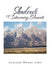Shadows of Intervening Elements by Annamary Wright Lewis