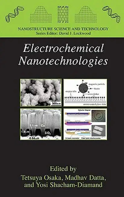 Electrochemical Nanotechnologies by Tetsuya Osaka