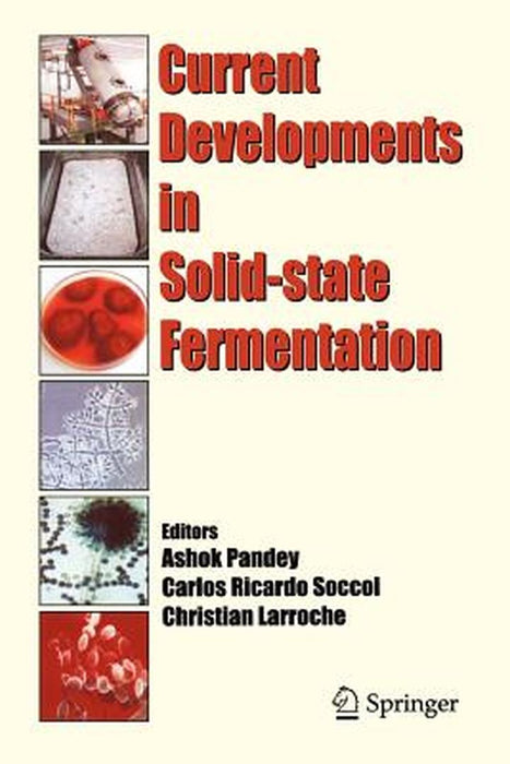 Current Developments in Solid-State Fermentation by Ashok Pandey