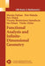 Functional Analysis and Infinite-Dimensional Geometry by Marian Fabian