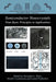 Semiconductor Nanocrystals: From Basic Principles to Applications by Alexander L. Efros