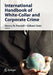 International Handbook of White-Collar and Corporate Crime by Henry N. Pontell