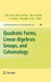 Quadratic Forms, Linear Algebraic Groups, and Cohomology by Skip Garibaldi