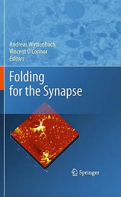 Folding for the Synapse by Andreas Wyttenbach