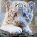 Zooborns!: Zoo Babies from Around the World by Andrew Bleiman