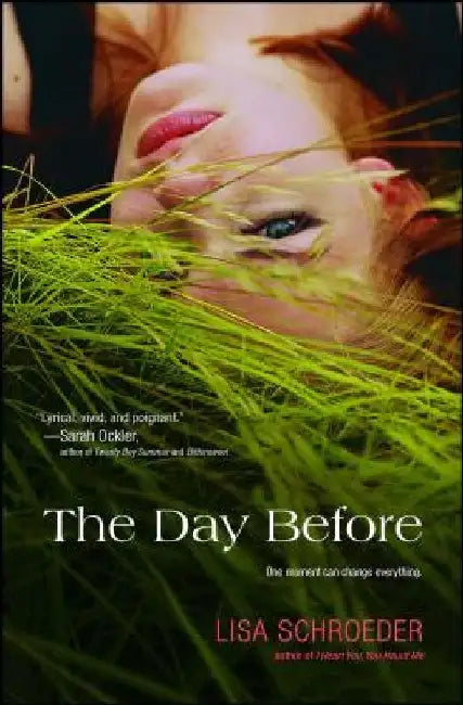 The Day Before by Lisa Schroeder