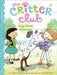 Amy Meets Her Stepsister by Callie Barkley