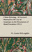 China Painting - A Practical Manual for the Use of Amateurs in the Decoration of Hard Porcelain (1911) by M. Louise McLaughlin