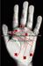 The Graven Palm - A Manual of the Science of Palmistry by Mrs Robinson