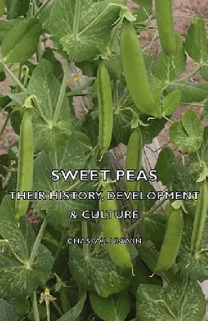 Sweet Peas - Their History, Development & Culture by Chas W. J. Unwin