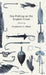 Sea Fishing on the English Coast: A Manual of Practical Instruction on the Art of Making and Using Sea Tackle and a Detailed Guide for Sea-Fishermen t by Frederick G. Aflalo
