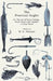 The Practical Angler Or, the Art of Trout-Fishing: More Particularly Applied to Clear Water by W. C. Stewart