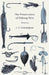 The Preservation of Fishing Nets by J. T. Cunningham