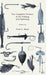 The Complete Science of Fly Fishing and Spinning by Frederick George Shaw