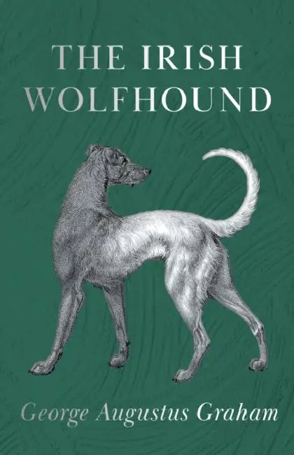 The Irish Wolfhound by George Augustus Graham