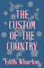 The Custom of the Country by Edith Wharton