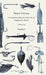 Roach Fishing - A Complete Manual of the Art of Angling for Roach by Faddist
