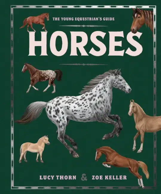 Horses by Lucy Thorn