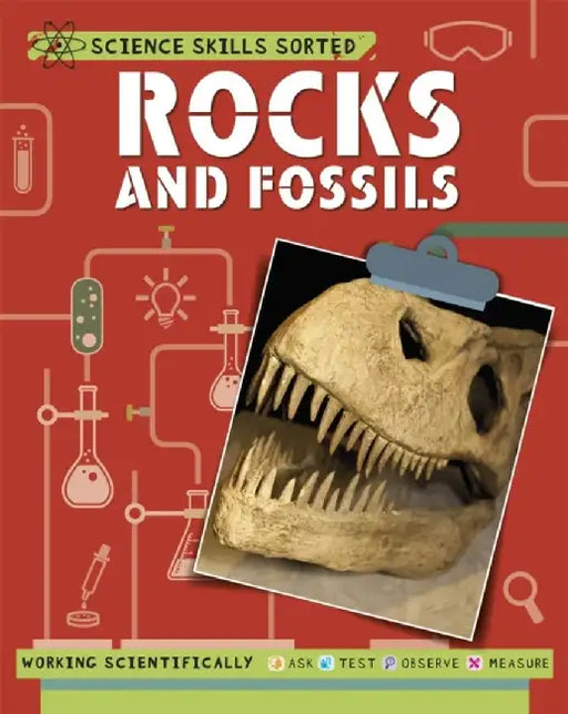 Science Skills Sorted!: Rocks and Fossils by Anna Claybourne