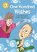 Reading Champion: One Hundred Wishes by Enid Richemont