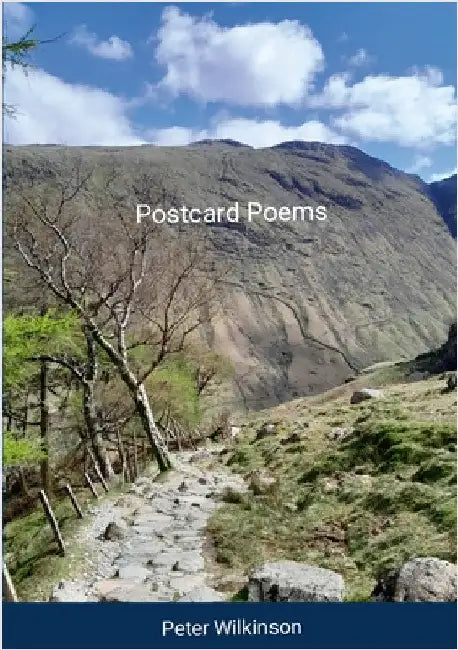 Postcard Poems by Wilkinson, Peter