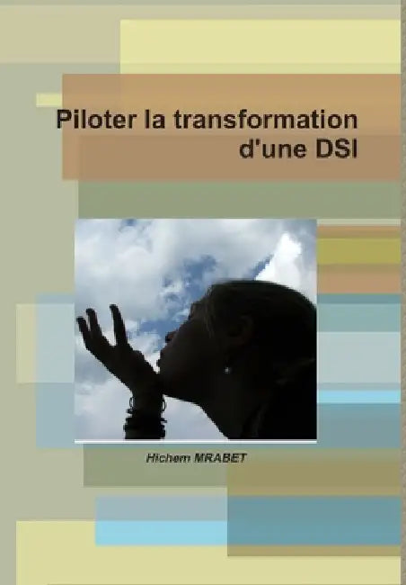 Piloter la transformation d'une DSI by Hichem Mrabet