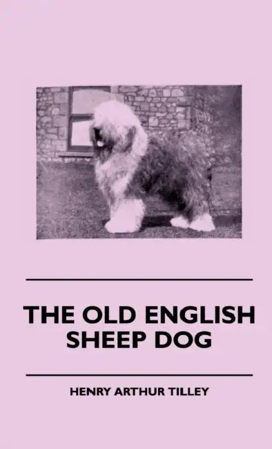 The Old English Sheep Dog by Henry Arthur Tilley