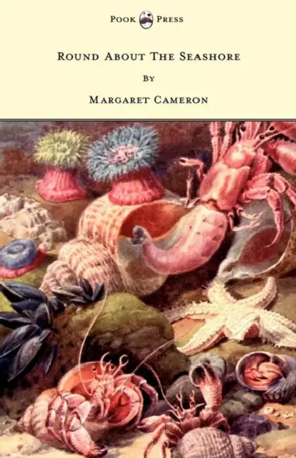 Round about the Seashore - With Eight Coloured Pictures by Margaret Cameron