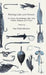 Fishing Lake and Stream - For Bass, Muskalonge, Pike, Pan Fishes, Salmon and Trout by Ray Schrenkeisen