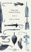 Trout and Salmon Fishing by John E. Hutton