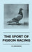 The Sport of Pigeon Racing by W. Anderson