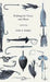Fishing for Trout and Bass by John a. Knight