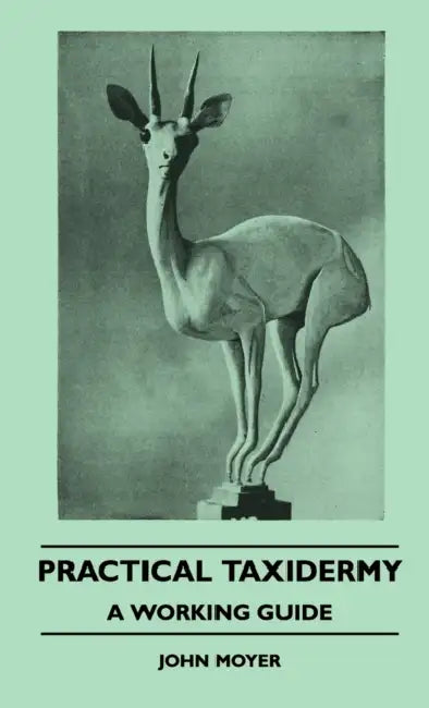 Practical Taxidermy - A Working Guide by John Moyer