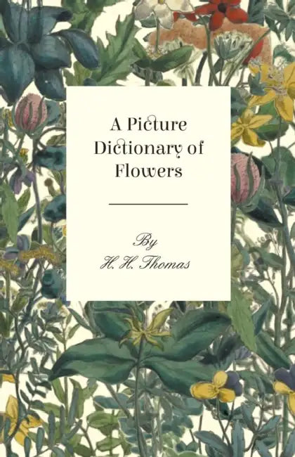 A Picture Dictionary of Flowers by H. H. Thomas