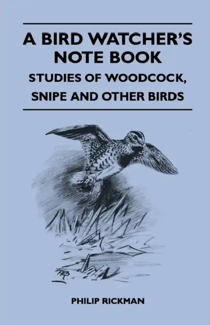 A Bird Watcher's Note Book - Studies Of Woodcock, Snipe And Other Birds by Philip Rickman