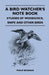 A Bird Watcher's Note Book - Studies Of Woodcock, Snipe And Other Birds by Philip Rickman