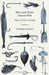 Pike and Other Coarse Fish - Baits and Bait-Catching by H. Cholmondeley-Pennell