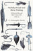 Norfolk Broad and River Fishing - Fishing for Pike and Other Coarse Fish by G. Christopher Davies