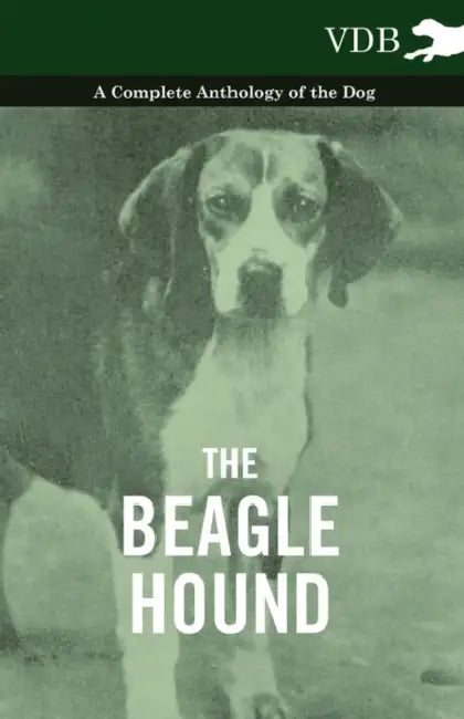 The Beagle Hound - A Complete Anthology of the Dog - by Various