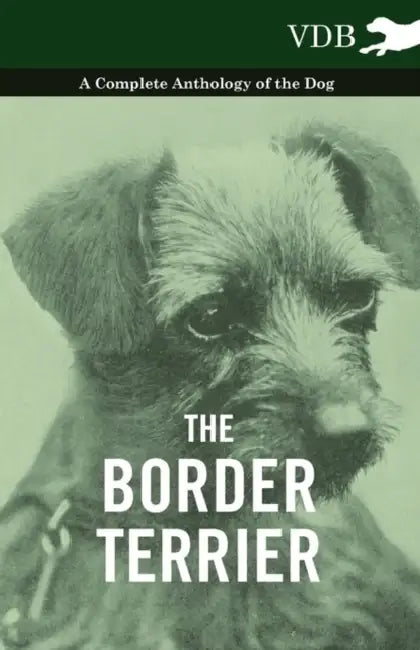 The Border Terrier - A Complete Anthology of the Dog - by Various
