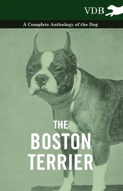 The Boston Terrier - A Complete Anthology of the Dog - by Various