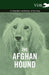The Afghan Hound - A Complete Anthology of the Dog - by Various
