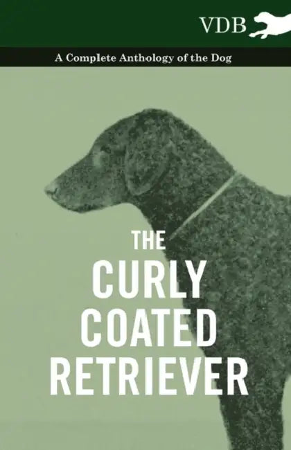 The Curly Coated Retriever - A Complete Anthology of the Dog -: Vintage Dog Books by Various