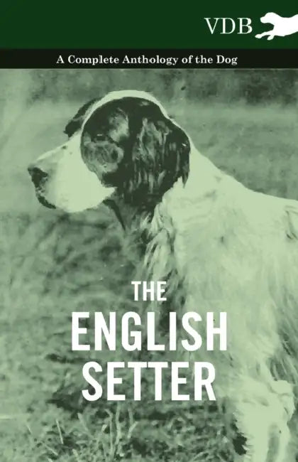The English Setter - A Complete Anthology of the Dog by Various