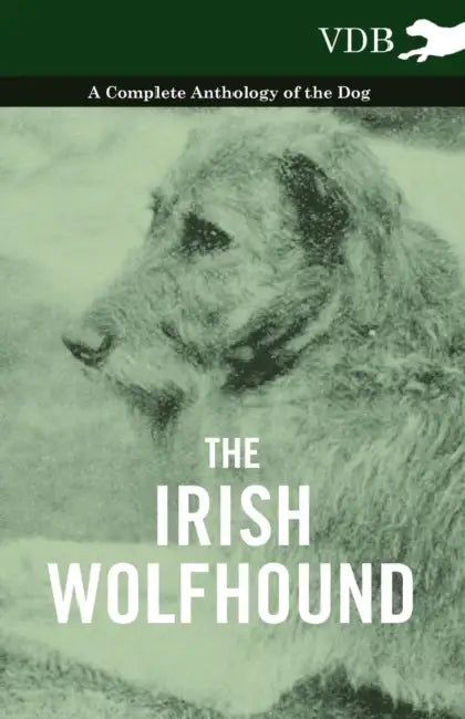 The Irish Wolfhound - A Complete Anthology of the Dog by Various