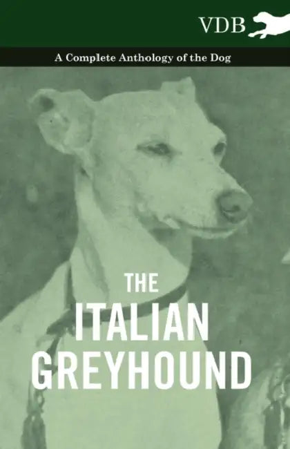 The Italian Greyhound - A Complete Anthology of the Dog by Various